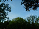 DSCN8463