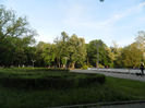 DSCN8469