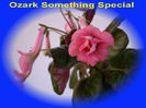 ozarksomethingspecial