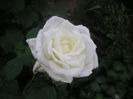 SANY0011