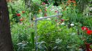 DSC00515
