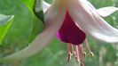 DSC00576