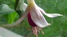 DSC00577