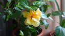 DSC00582