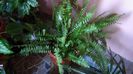 DSC00588