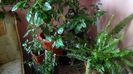 DSC00589