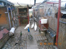 DSCN4064