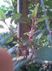 Imag223