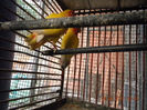 DSCN3883