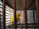 DSCN3884