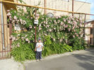 DSCN6508