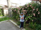 DSCN6510
