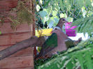 SANY0037