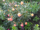 gartenspass