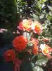 2013-06-06 13.33.28