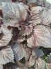 2013-06-06 12.17.16