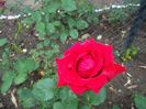 SAM_2570