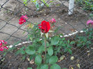 SAM_2571