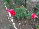 SAM_2577