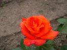 SAM_2578