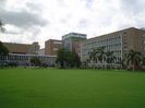 AIIMS_central_lawn