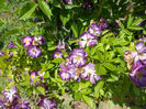 DSCN8638