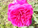 DSCN8668