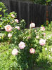 DSCN8673