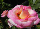 DSCN8677