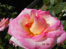 DSCN8678