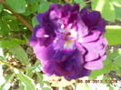 DSCN8682