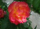 Emeraude d_or