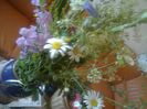 flori culese din padure