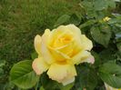 DSC06809