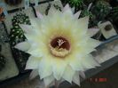 DSC01247