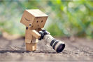 Danbo