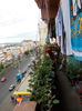 7 iunie 2013-flori 140