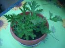 DSCN2777[1]
