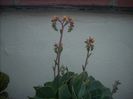 DSCN2774[1]