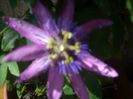 DSCN2771[1]