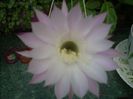 DSCN2768[1]