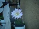 DSCN2765[1]
