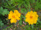 DSCN4314