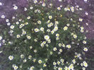 04-06-13_1235