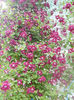 DSCN4315
