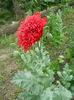 DSCN4402