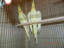 DSCN2676