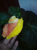 DSC03808