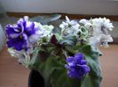 DSC00210