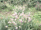 2013 - mai